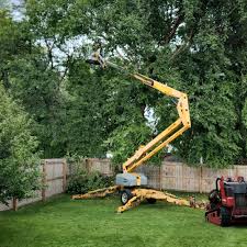 Best Hazardous Tree Removal  in Steelton, PA